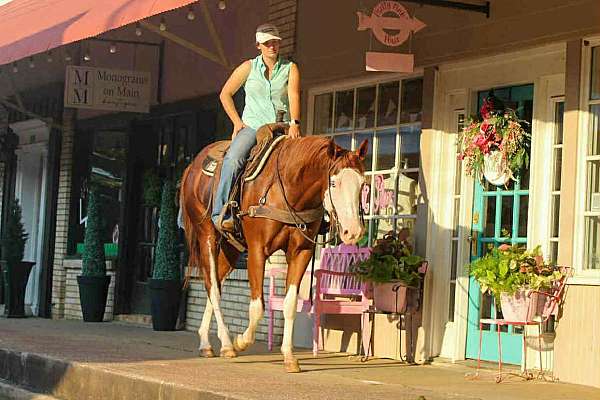 ranch-work-quarter-horse