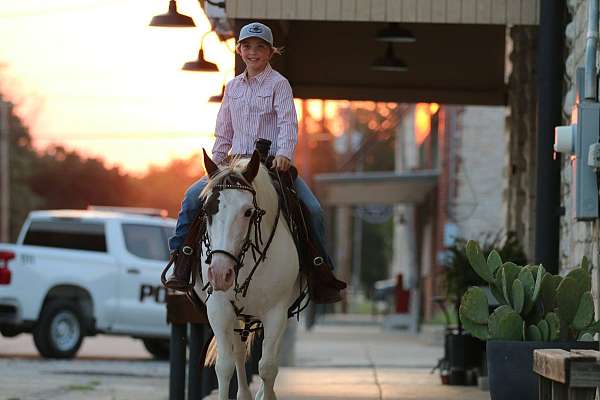 beginner-safe-quarter-horse