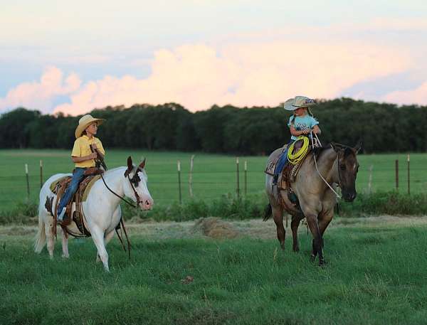 family-horse-quarter