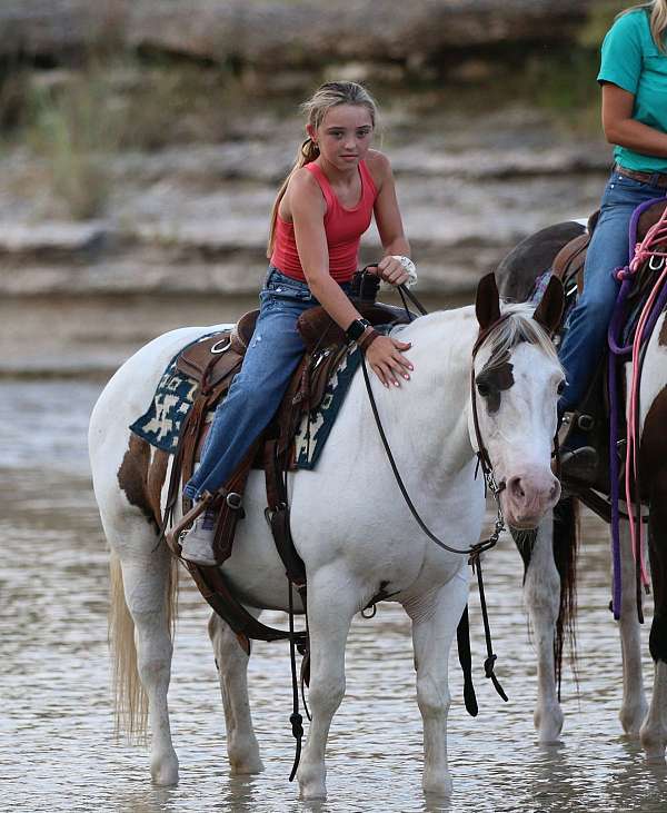 quarter-horse