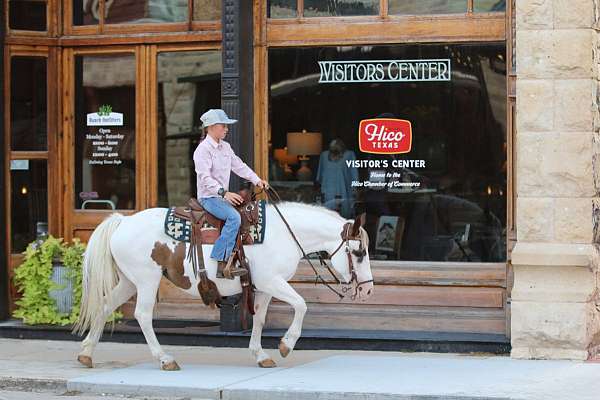 ranch-work-quarter-horse