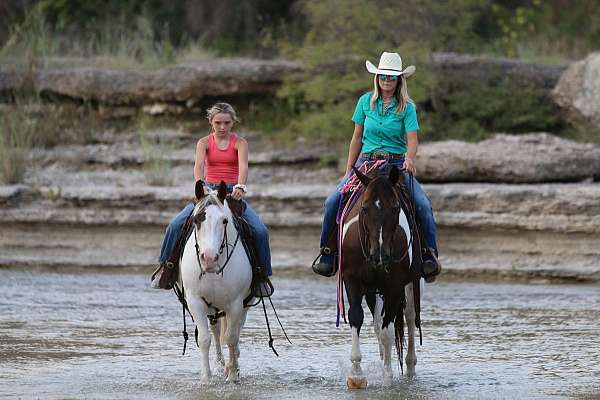 athletic-quarter-horse