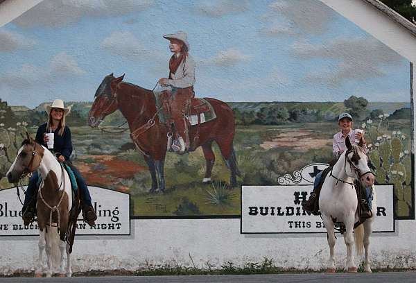 flashy-quarter-horse