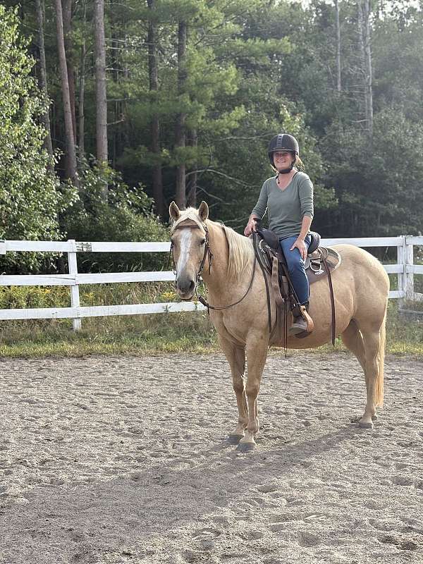 quarter-pony