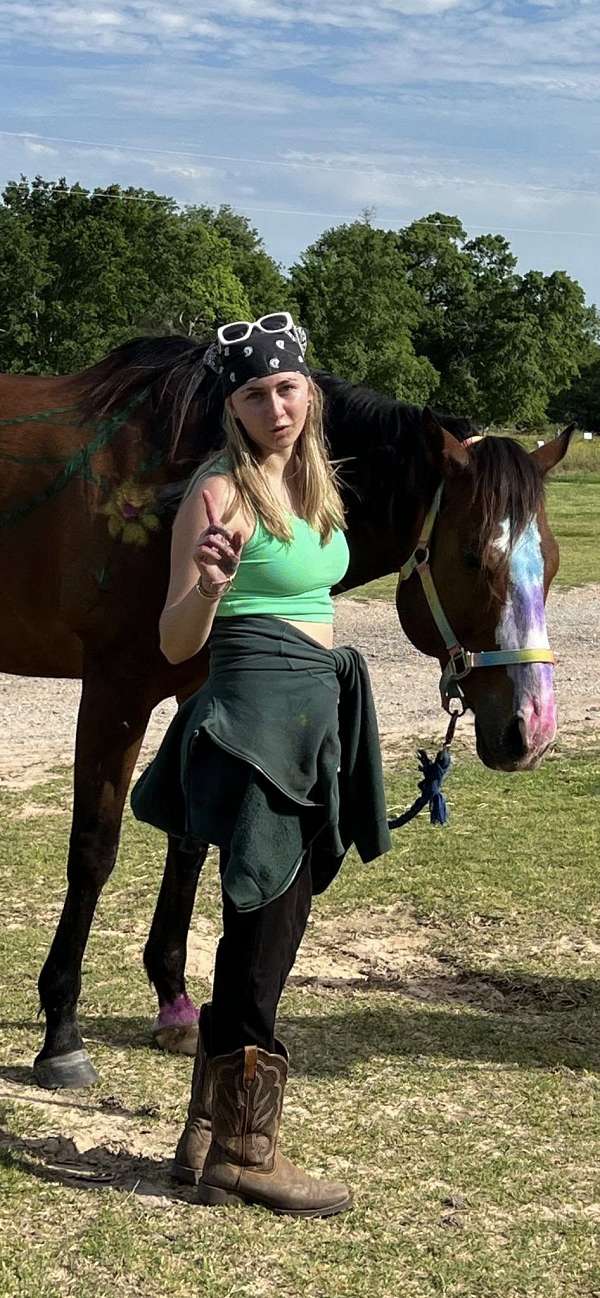 adult-thoroughbred-horse