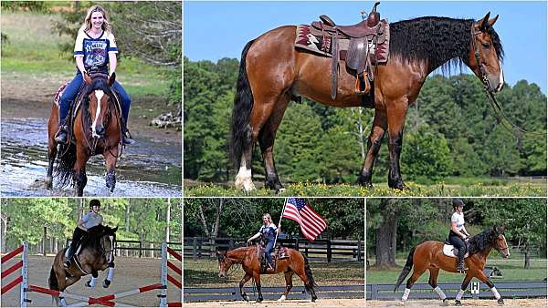 kid-safe-draft-horse