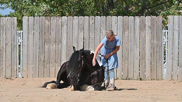 blackwhite-pony