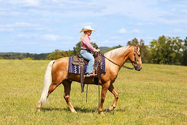 western-horse-kentucky-mountain