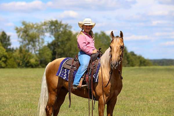 western-dressage-horse-kentucky-mountain