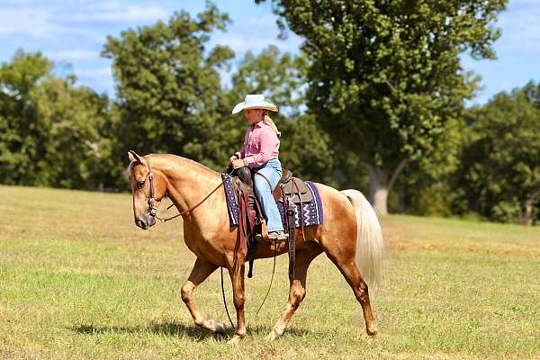 work-kentucky-mountain-horse
