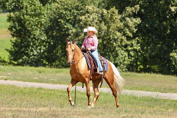 trail-horse-kentucky-mountain