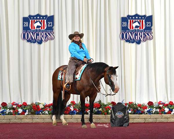 reining-ranch-horse