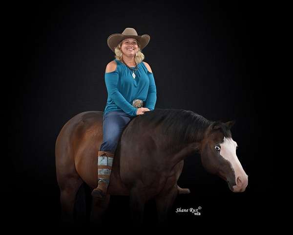 reining-ranch-quarter-horse