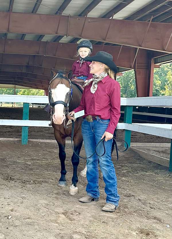 reining-ranch-gelding