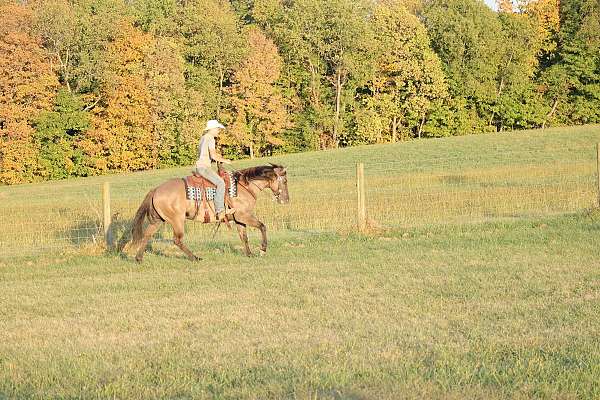 horsemanship-quarter-horse