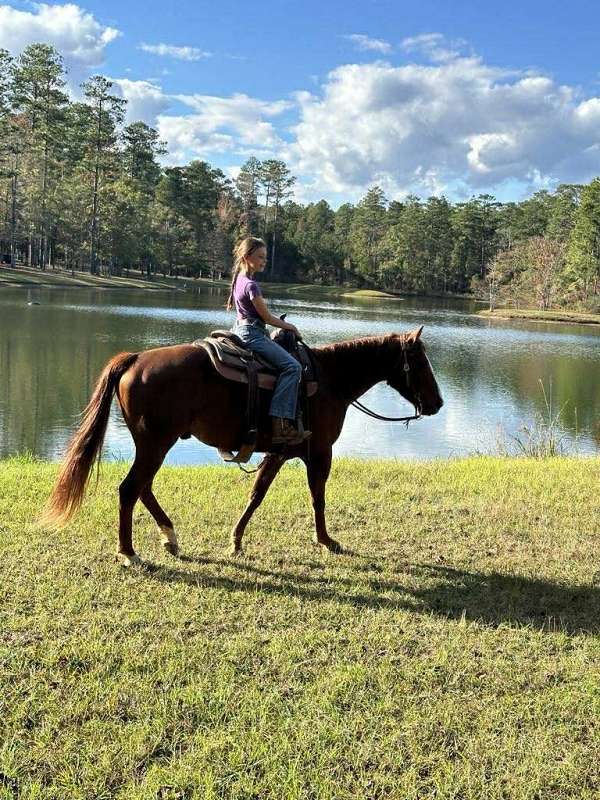 cowboy-mounted-shooting-quarter-horse