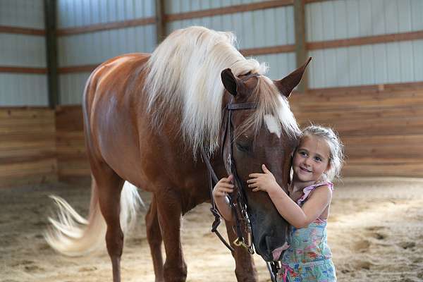 family-horse-tennessee-walking