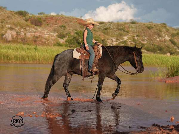 ranch-quarter-pony