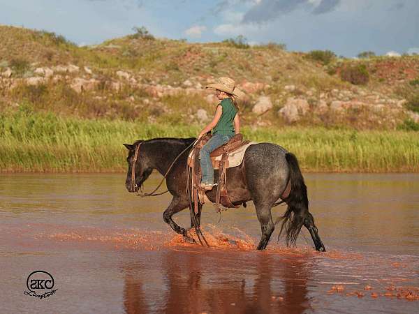 ranch-work-quarter-pony