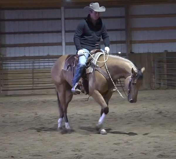 bond-quarter-pony