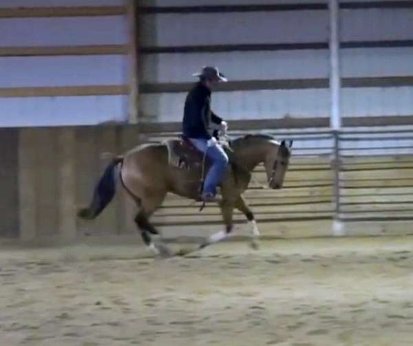 live-outside-quarter-pony