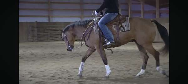 movement-quarter-pony
