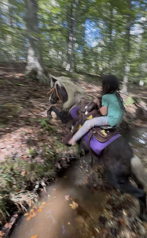 10-hand-mare