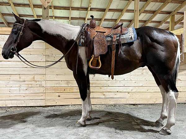 trail-paint-horse