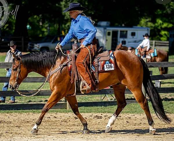 ranch-work-quarter-pony