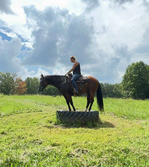 performance-quarter-pony