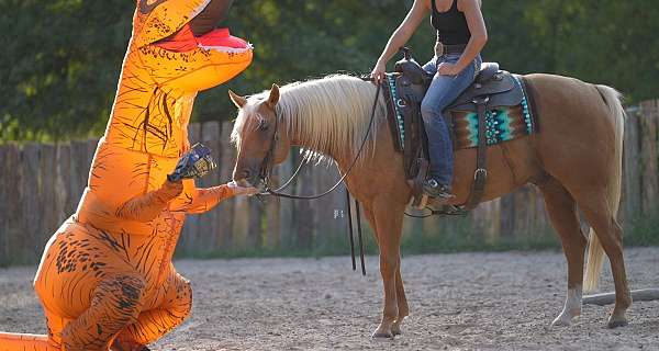 cowboy-mounted-shooting-quarter-horse