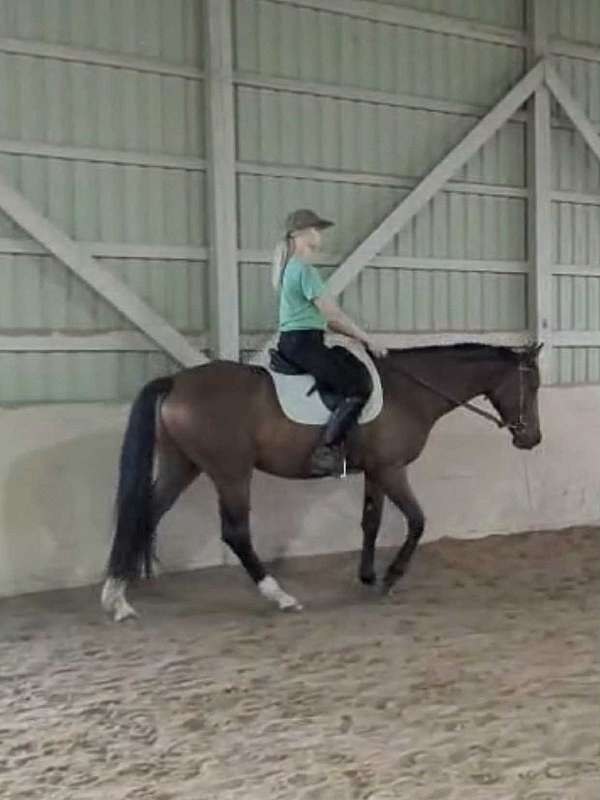 irregular-blaze-to-snip-horse