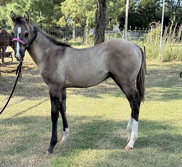 all-weanling
