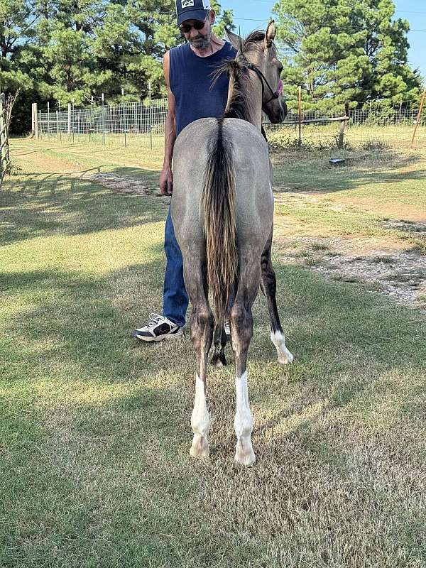 break-weanling