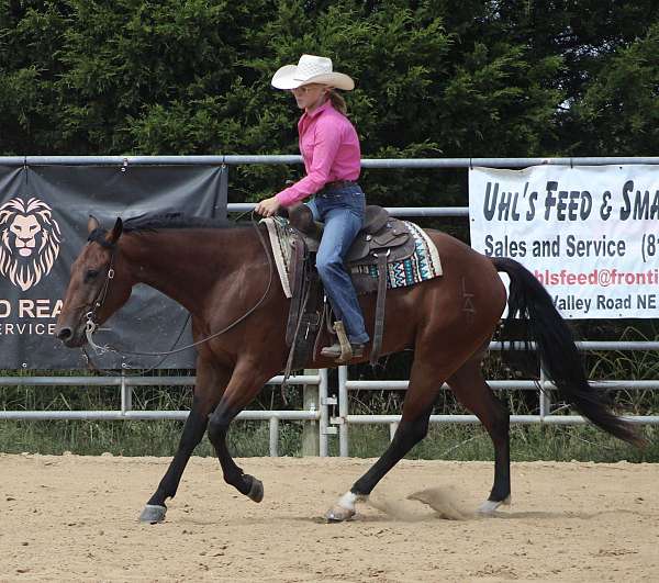 cowboy-mounted-shooting-quarter-horse