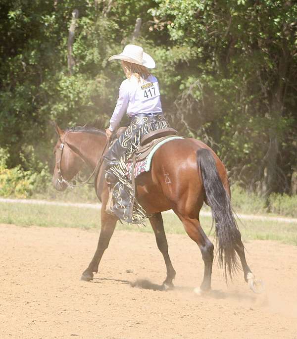 penning-quarter-horse
