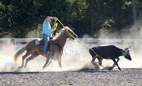 barrel-racing-quarter-horse