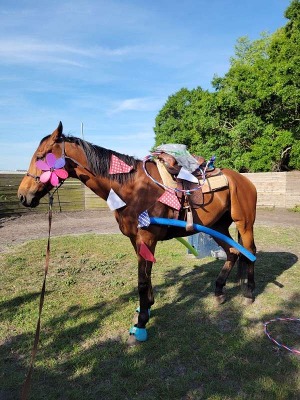 thoroughbred-horse