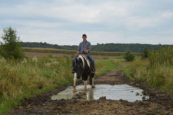 ridden-western-paint-horse