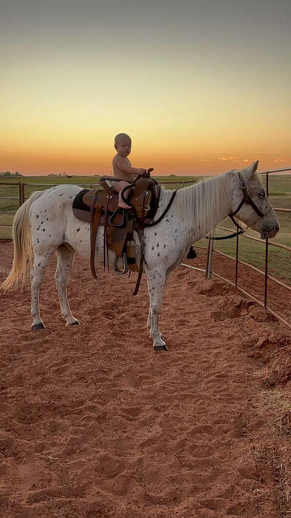 ranch-work-pony-poa-pony