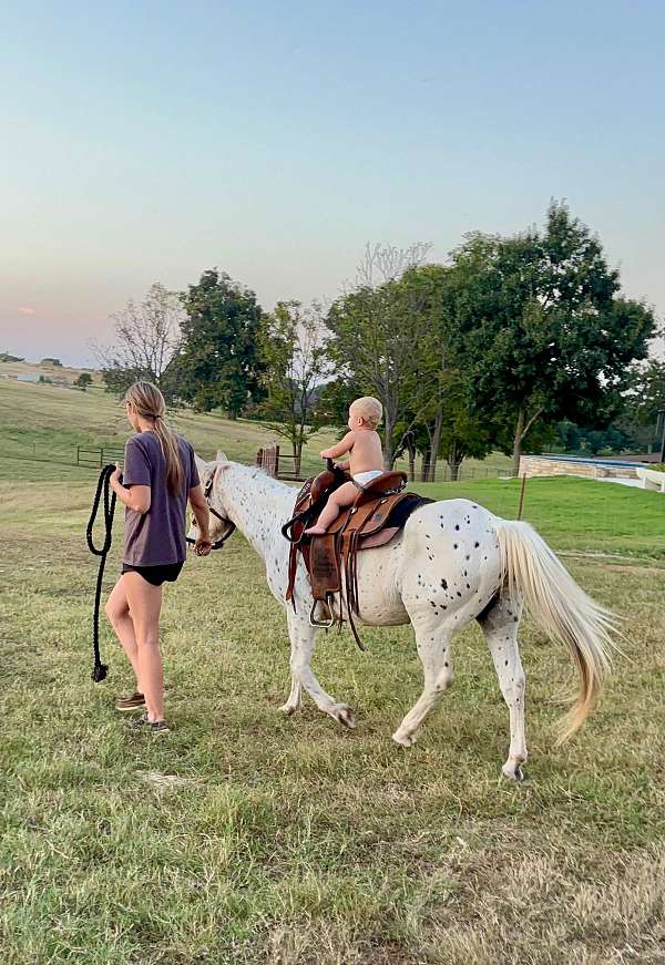pony-for-sale