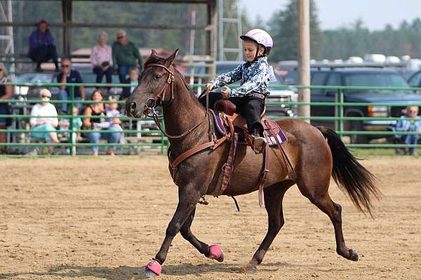 under-15-quarter-horse