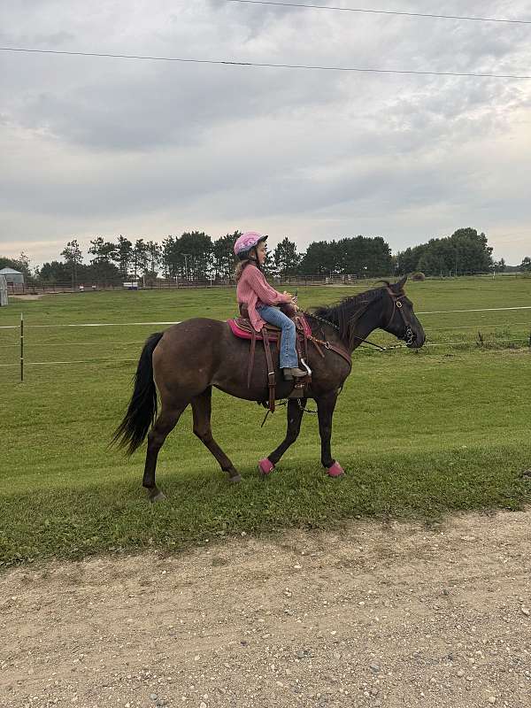 under-15-mare