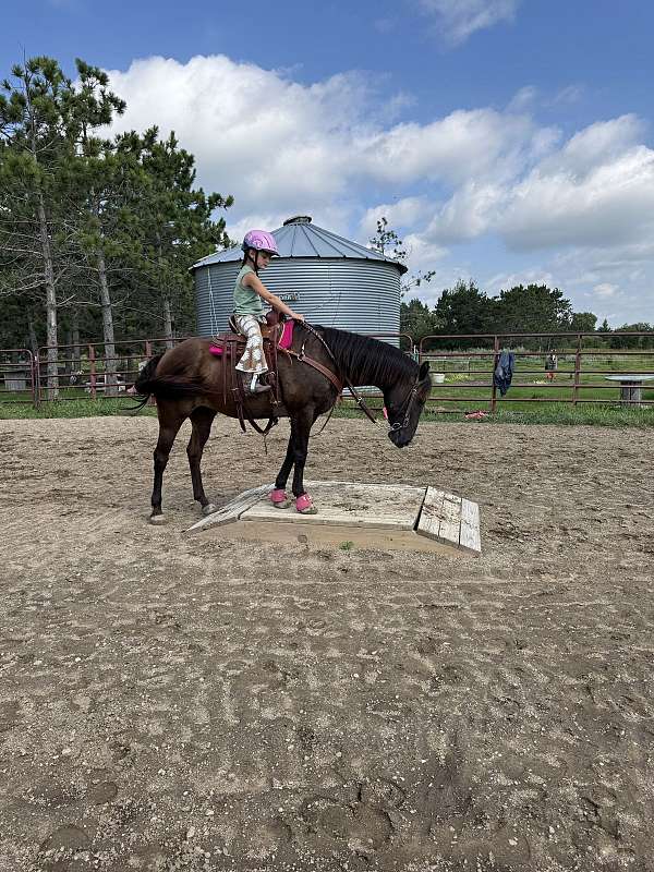 under-15-horse