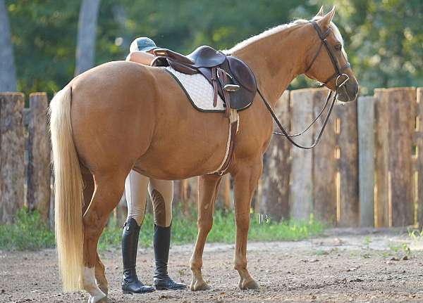 ranch-versatility-quarter-horse