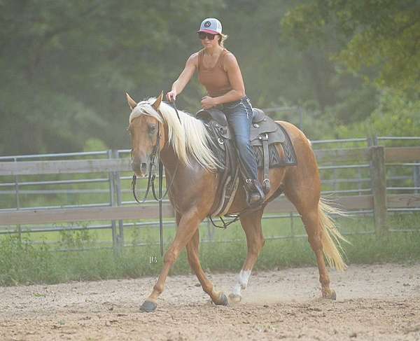 ridden-western-quarter-horse