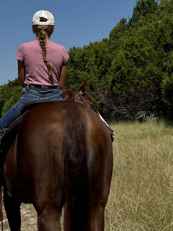 ranch-work-quarter-horse