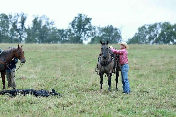 flashy-quarter-horse