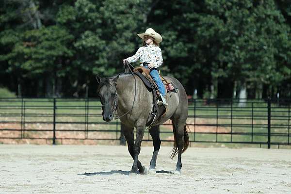 ranch-quarter-horse
