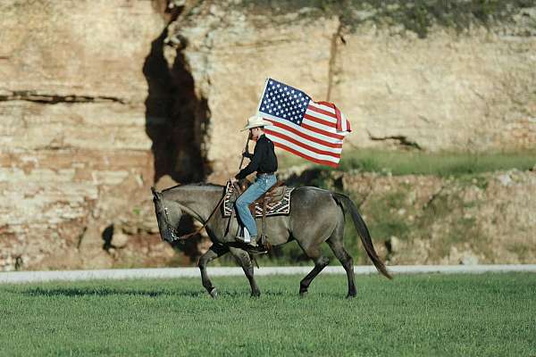 ranch-work-quarter-horse